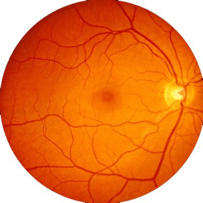 Blogue Santédesyeux