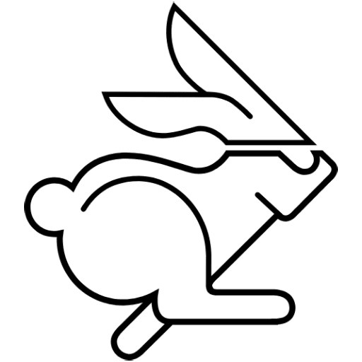 VU optique