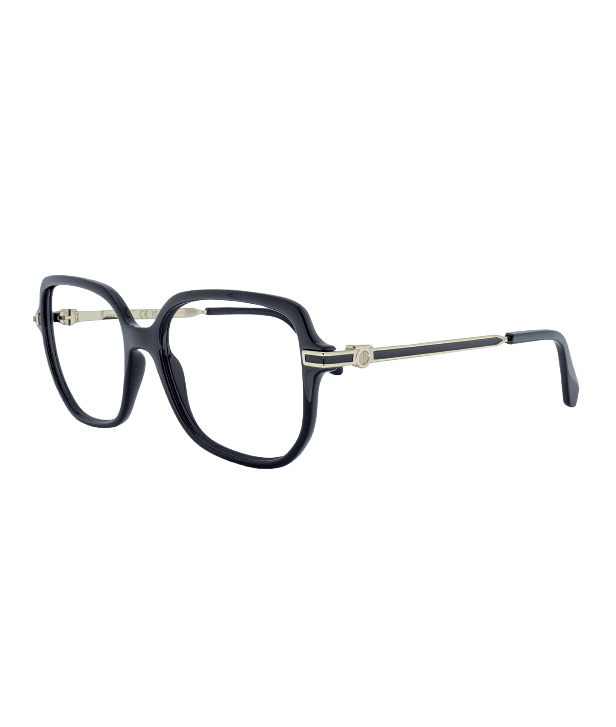 115289 FERRAGAMO 3012 001 2.CR3