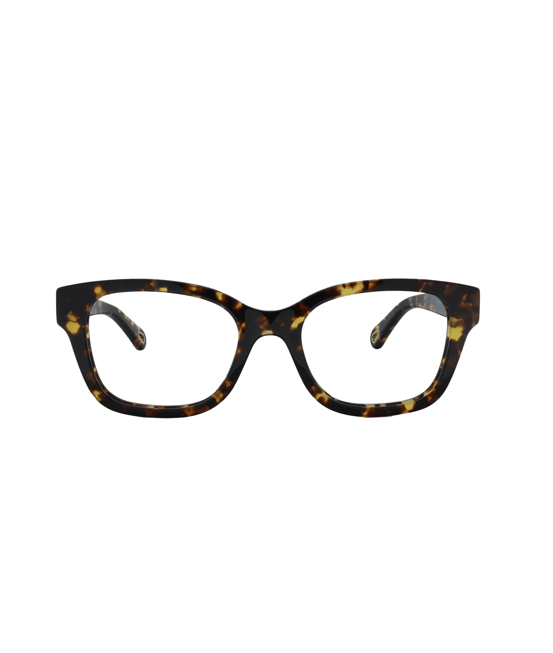 119360 CHLOE 0305O 006 1.JPG