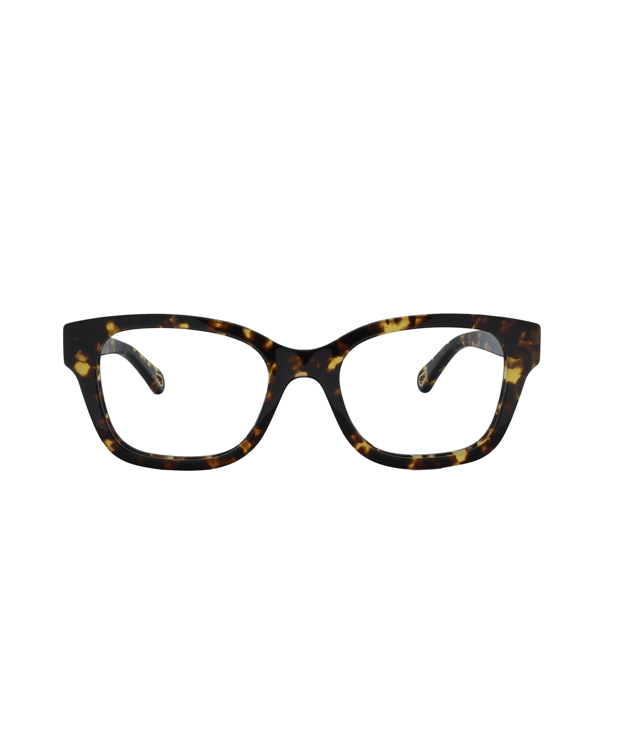 119360 CHLOE 0305O 006 1.JPG